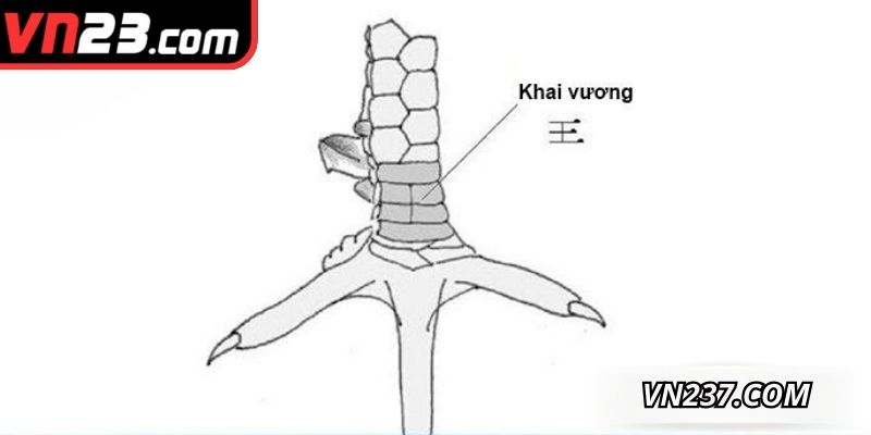 Lưu ý khi phân biệt tướng chân linh kê giả mạo