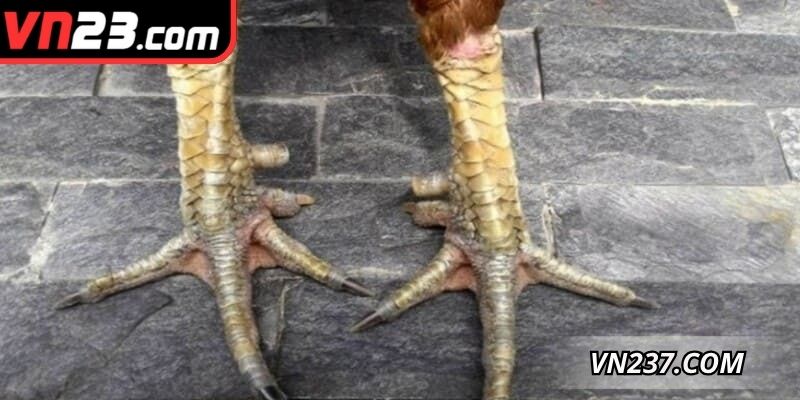 Các phương pháp nhận diện cụ thể cho người mới