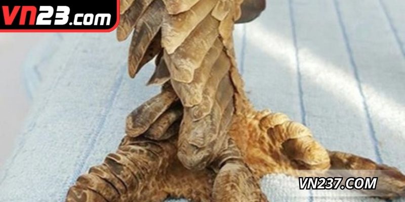 Mô tả quy trình kiểm tra thẩm định của chuyên gia