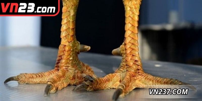 Kỹ thuật nhận diện hiệu quả đối với kê hiếm