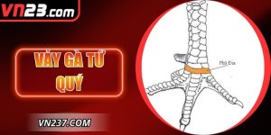 Vảy Gà Tứ Quý - Đặc Điểm Nhận Diện Thần Kê Bất Bại 2025